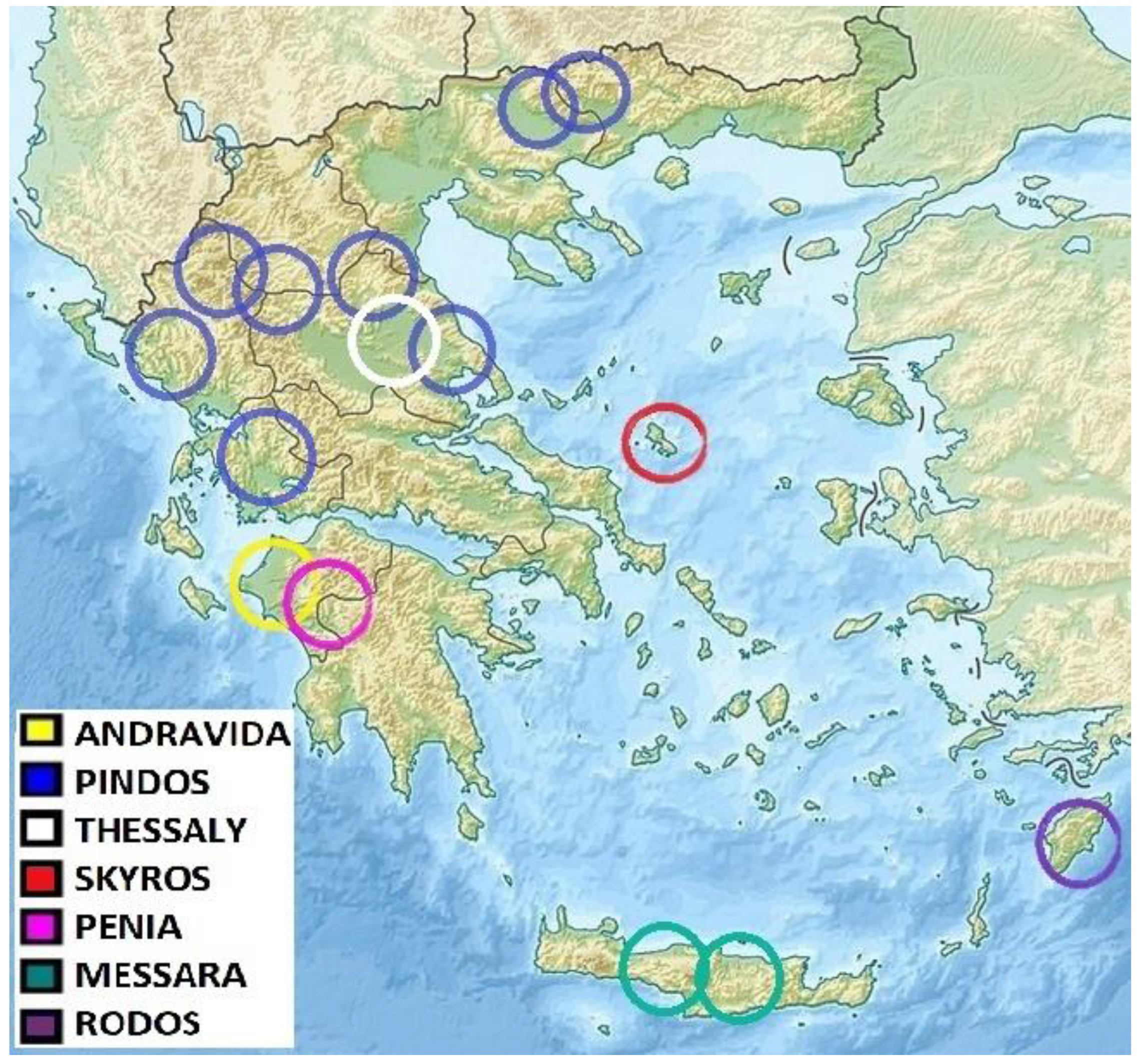 Άρθρο